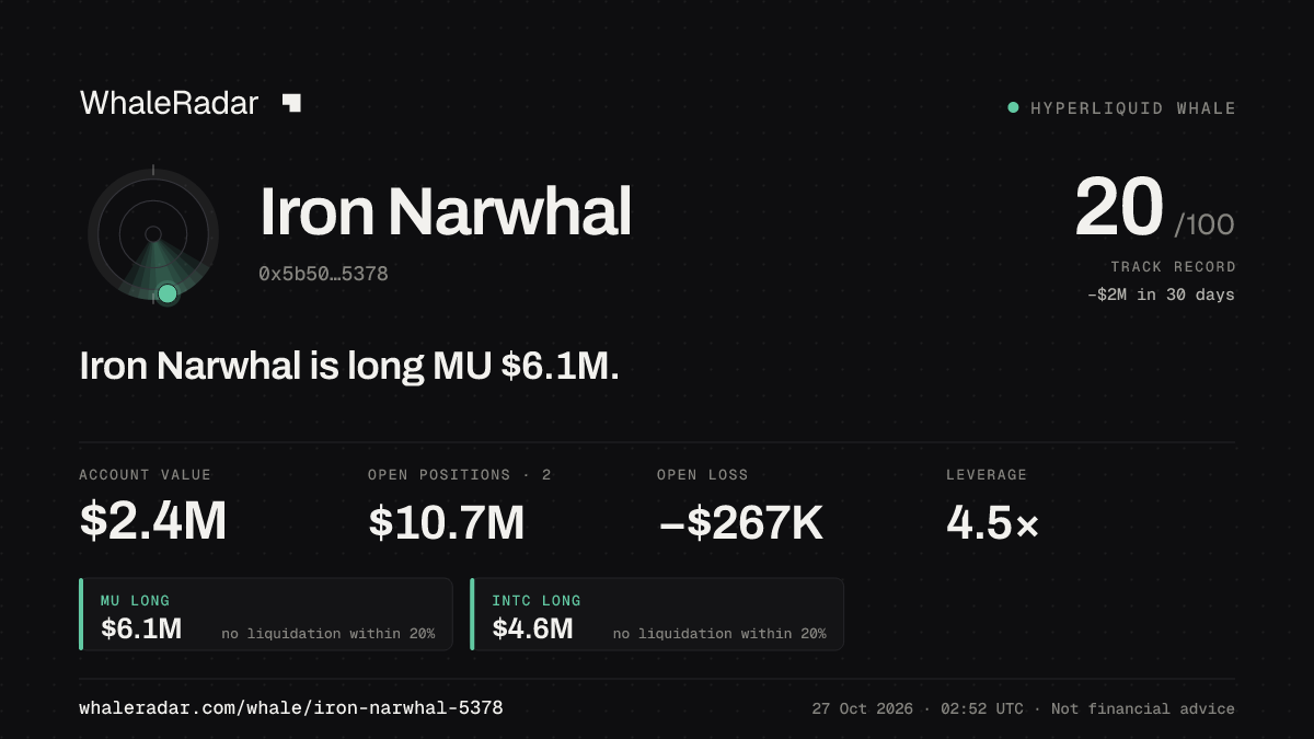 Share card for Iron Narwhal: Iron Narwhal is long MU $6.1M.