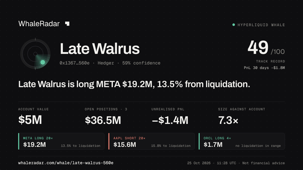 Share card for Late Walrus: Late Walrus is long META $19.2M, 13.5% from liquidation.