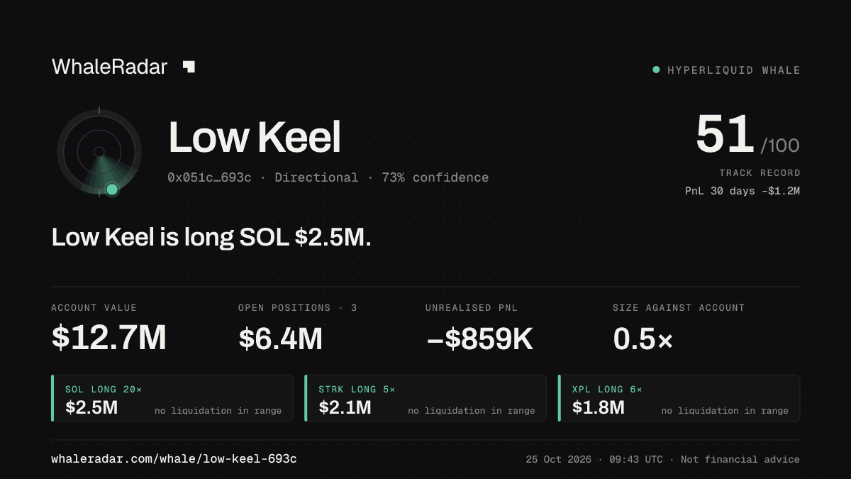 「Low Keel」分享卡片:Low Keel 持有 SOL 254 万美元 多单。