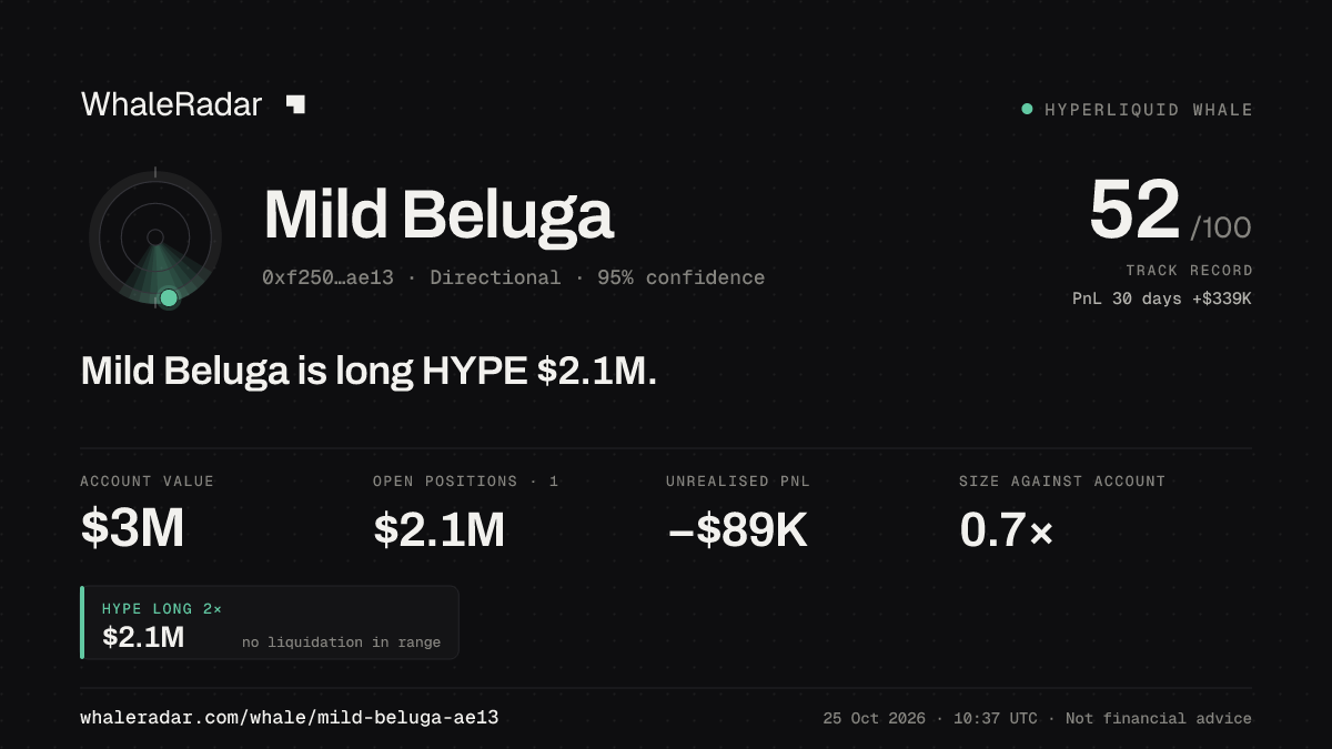 「Mild Beluga」分享卡片:Mild Beluga 持有 HYPE 213 万美元 多单。