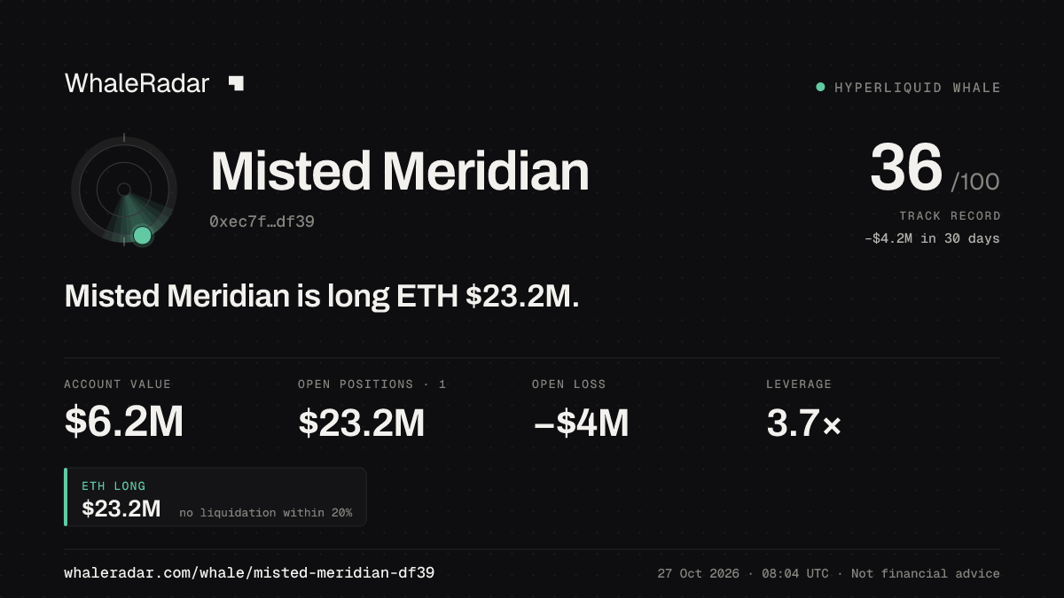 Misted Meridian 공유 카드: Misted Meridian: ETH 롱 2,303만 달러.