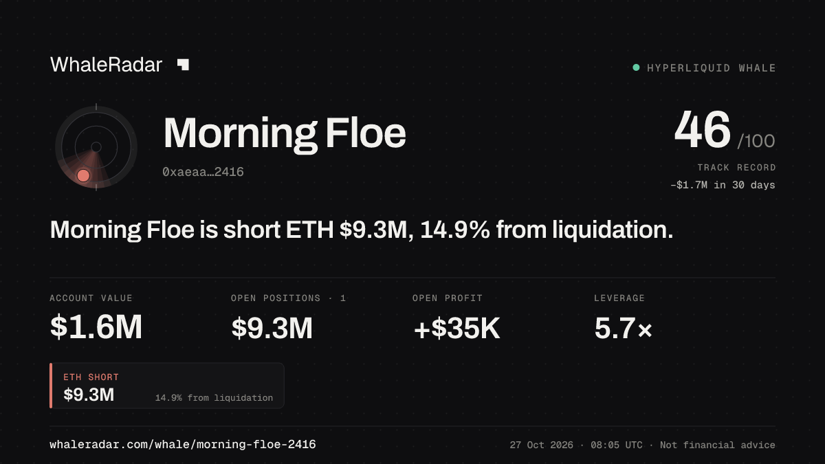 Share card for Morning Floe: Morning Floe is short ETH $9.2M, 15.5% from liquidation.