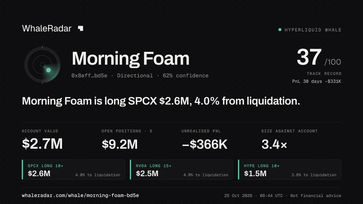 Share card for Morning Foam: Morning Foam is long SPCX $2.6M, 4.2% from liquidation.