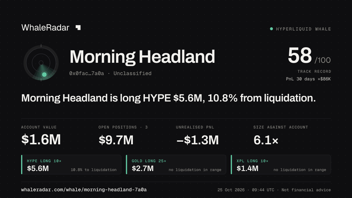 Share card for Morning Headland: Morning Headland is long HYPE $5.7M, 10.6% from liquidation.