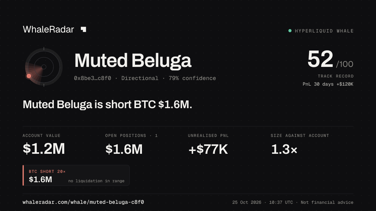 「Muted Beluga」分享卡片:Muted Beluga 持有 BTC 156 万美元 空单。