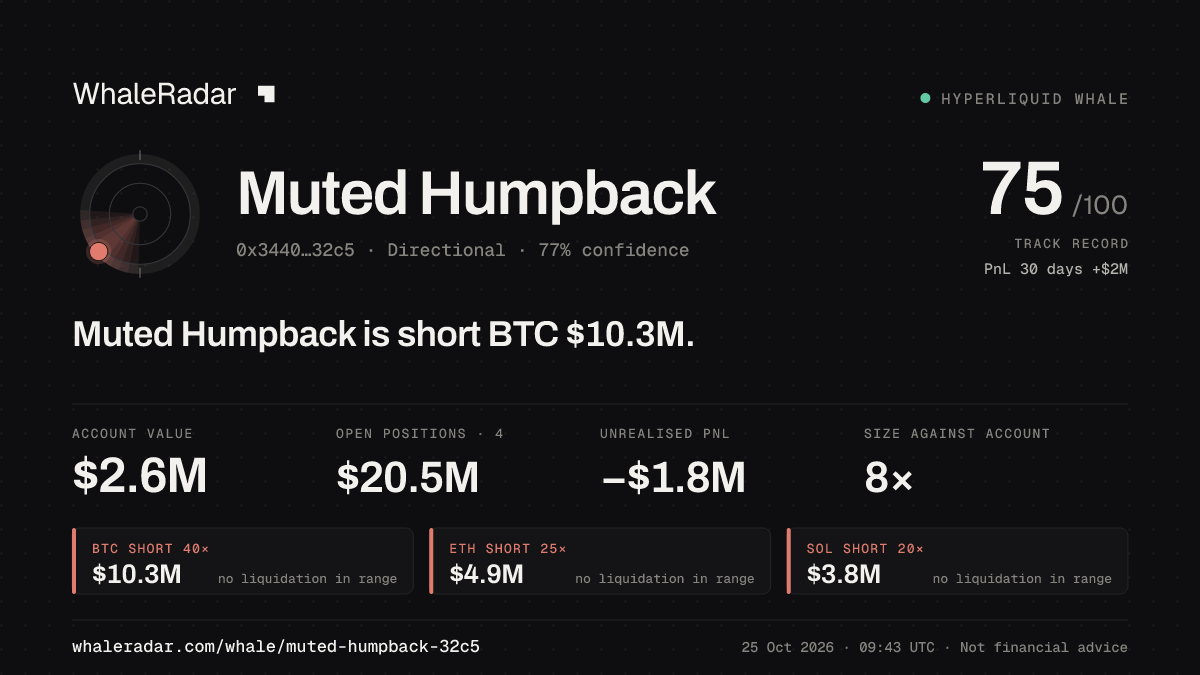 「Muted Humpback」分享卡片:Muted Humpback 持有 BTC 1,033 万美元 空单。