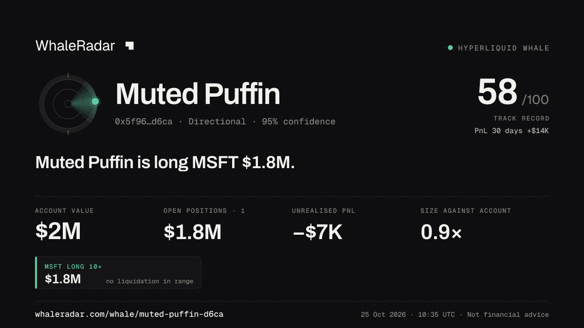 「Muted Puffin」分享卡片:Muted Puffin 持有 MSFT 176 万美元 多单。