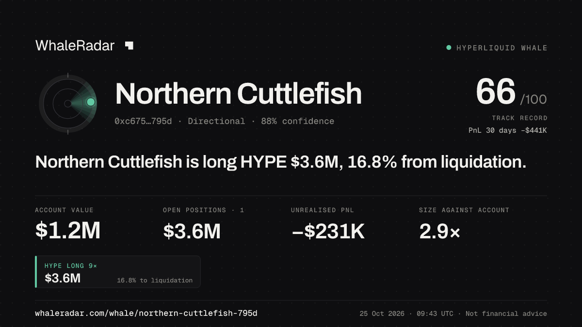 Share card for Northern Cuttlefish: Northern Cuttlefish is long HYPE $3.6M, 16.9% from liquidation.