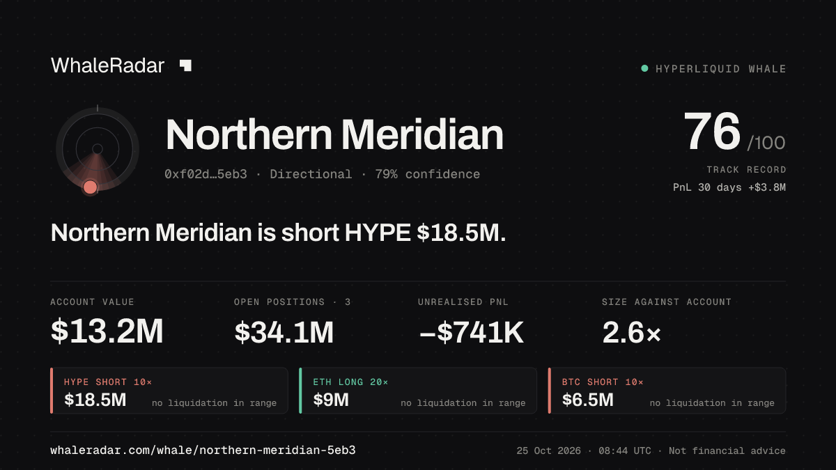Share card for Northern Meridian: Northern Meridian is short HYPE $18.6M.