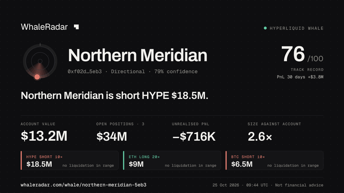 「Northern Meridian」分享卡片:Northern Meridian 持有 HYPE 1,853 万美元 空单。