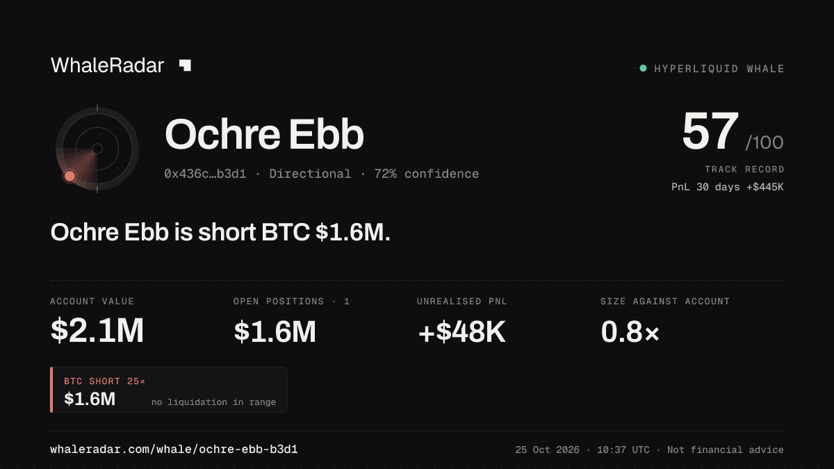 「Ochre Ebb」分享卡片:Ochre Ebb 持有 BTC 160 万美元 空单。