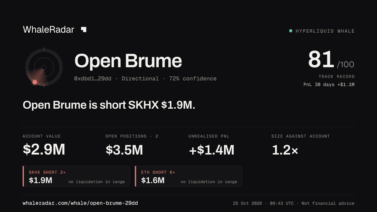 「Open Brume」分享卡片:Open Brume 持有 SKHX 190 万美元 空单。