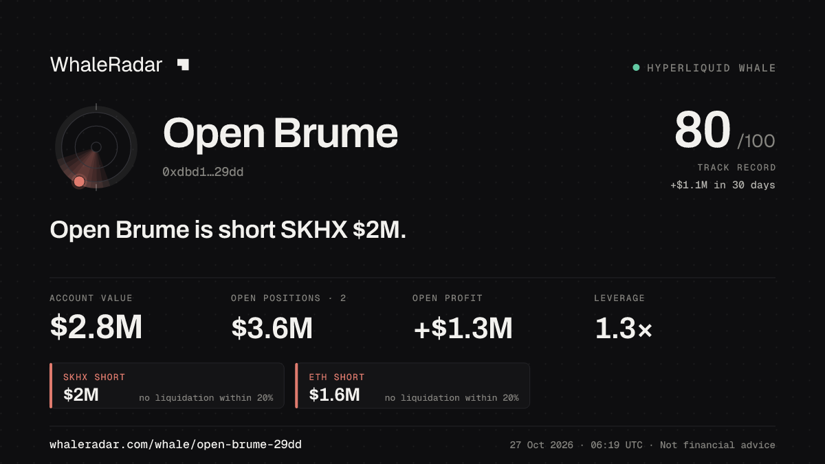 Open Brume 공유 카드: Open Brume: SKHX 숏 205만 달러.