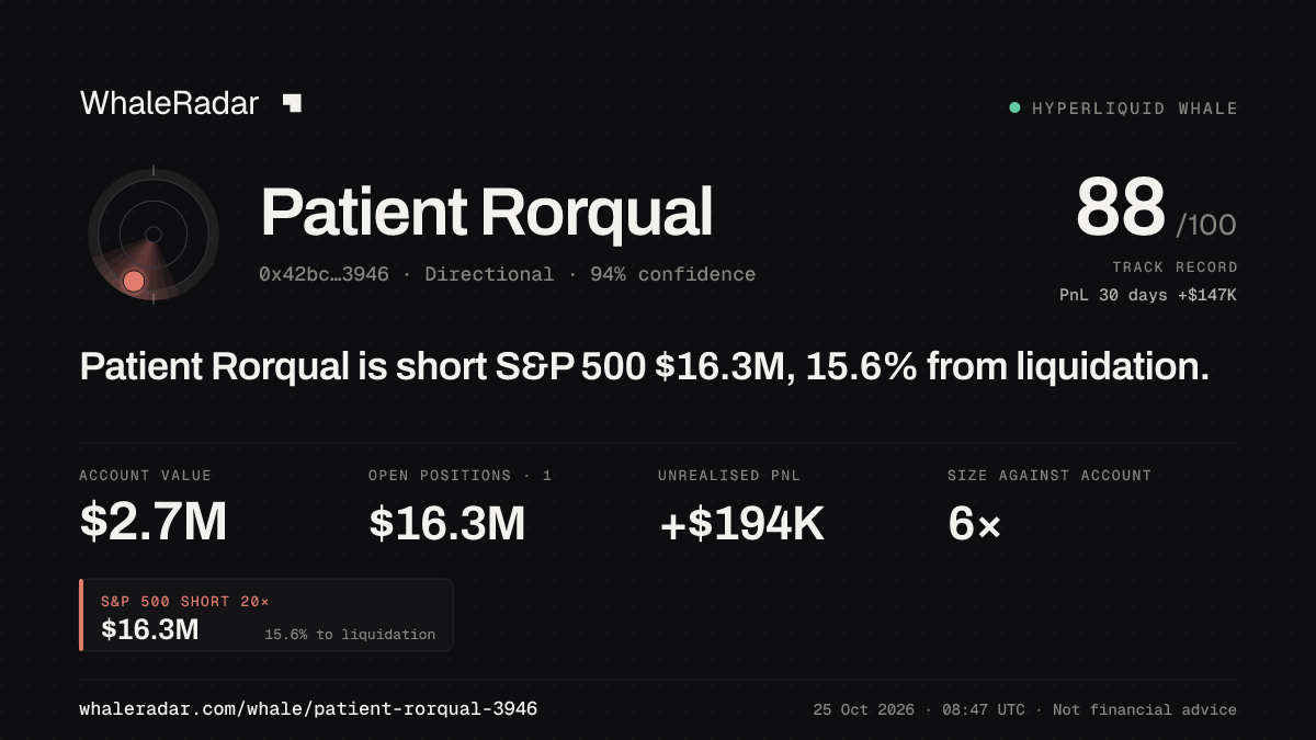 Share card for Patient Rorqual: Patient Rorqual is short S&P 500 $16.3M, 15.6% from liquidation.