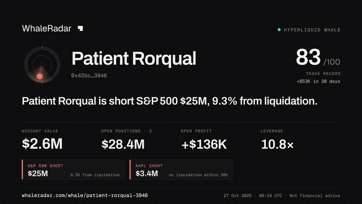Patient Rorqual 공유 카드: Patient Rorqual: S&P 500 숏 2,504만 달러, 청산까지 9.1%.