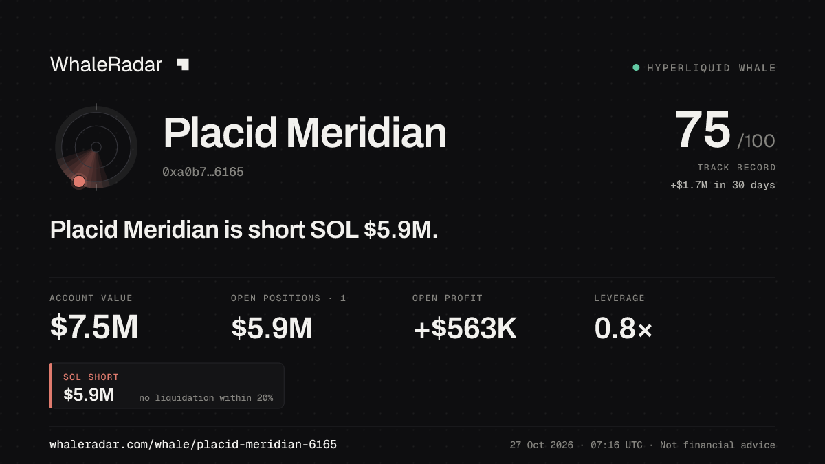 Placid Meridian 공유 카드: Placid Meridian: SOL 숏 590만 달러.