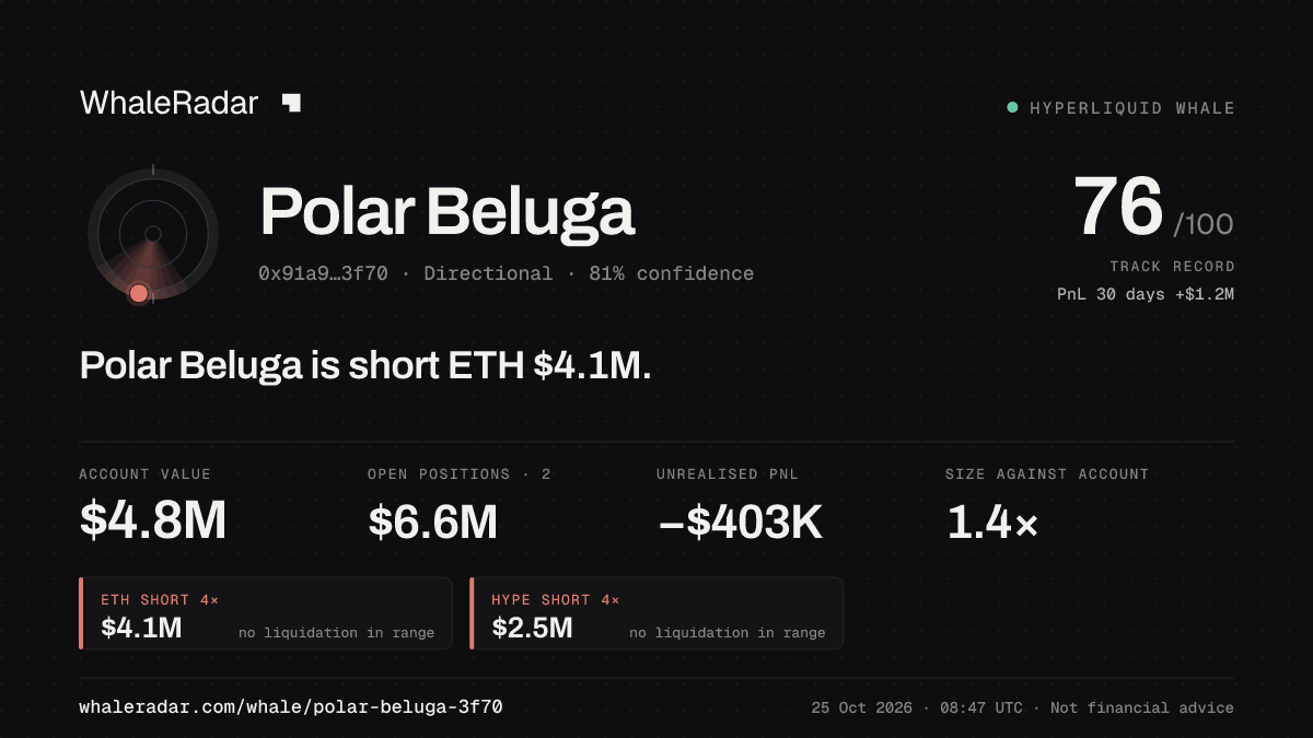 Share card for Polar Beluga: Polar Beluga is short ETH $4.1M.