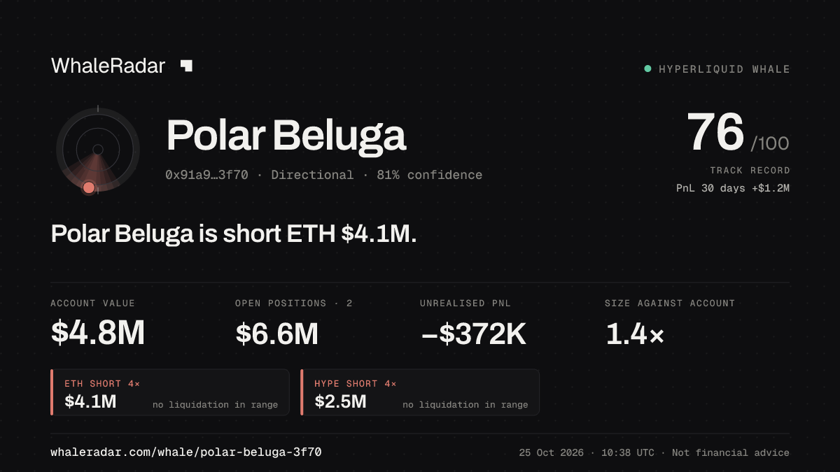 「Polar Beluga」分享卡片:Polar Beluga 持有 ETH 413 万美元 空单。
