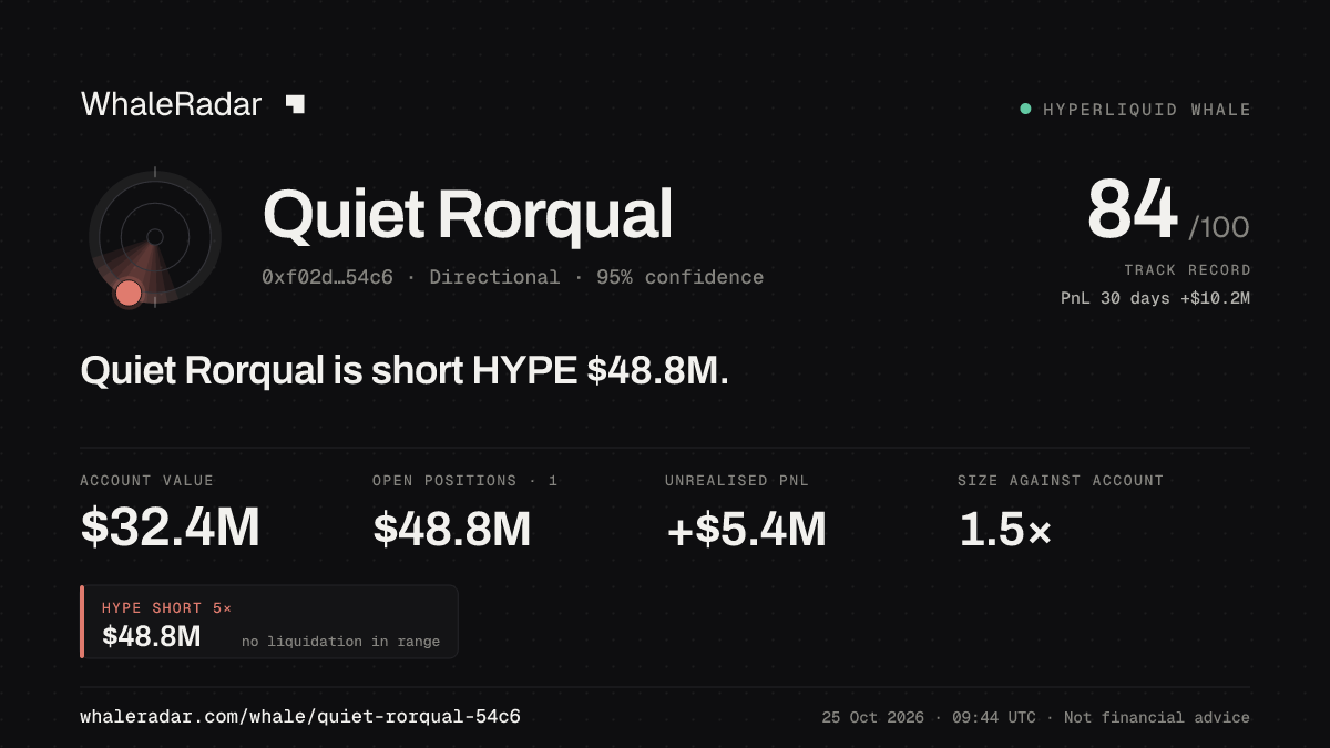 「Quiet Rorqual」分享卡片:Quiet Rorqual 持有 HYPE 4,896 万美元 空单。