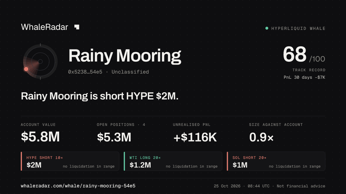 「Rainy Mooring」分享卡片:Rainy Mooring 持有 HYPE 205 万美元 空单。