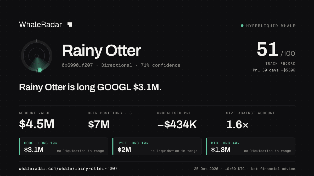 Share card for Rainy Otter: Rainy Otter is long GOOGL $3.1M.