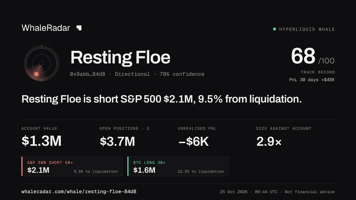 「Resting Floe」分享卡片:Resting Floe 持有 S&P 500 206 万美元 空单,距爆仓 9.7%。