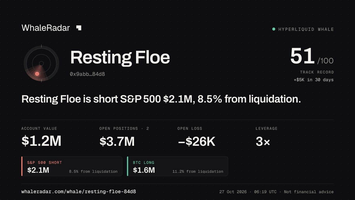 Resting Floe 공유 카드: Resting Floe: S&P 500 숏 207만 달러, 청산까지 8.3%.