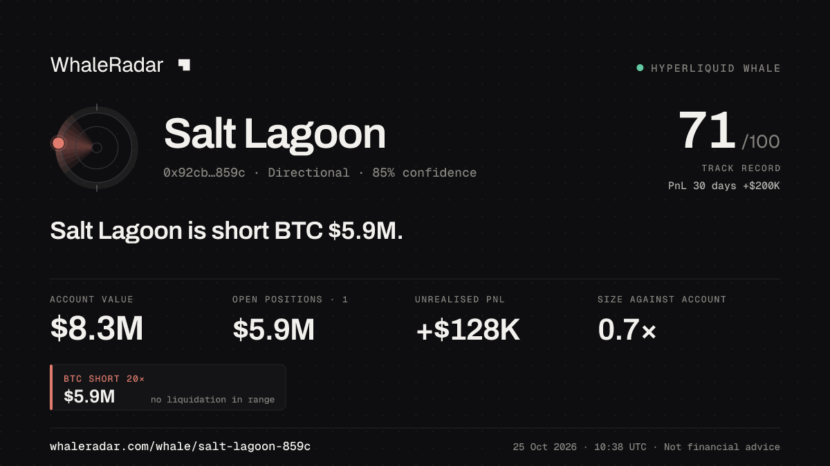「Salt Lagoon」分享卡片:Salt Lagoon 持有 BTC 587 万美元 空单。