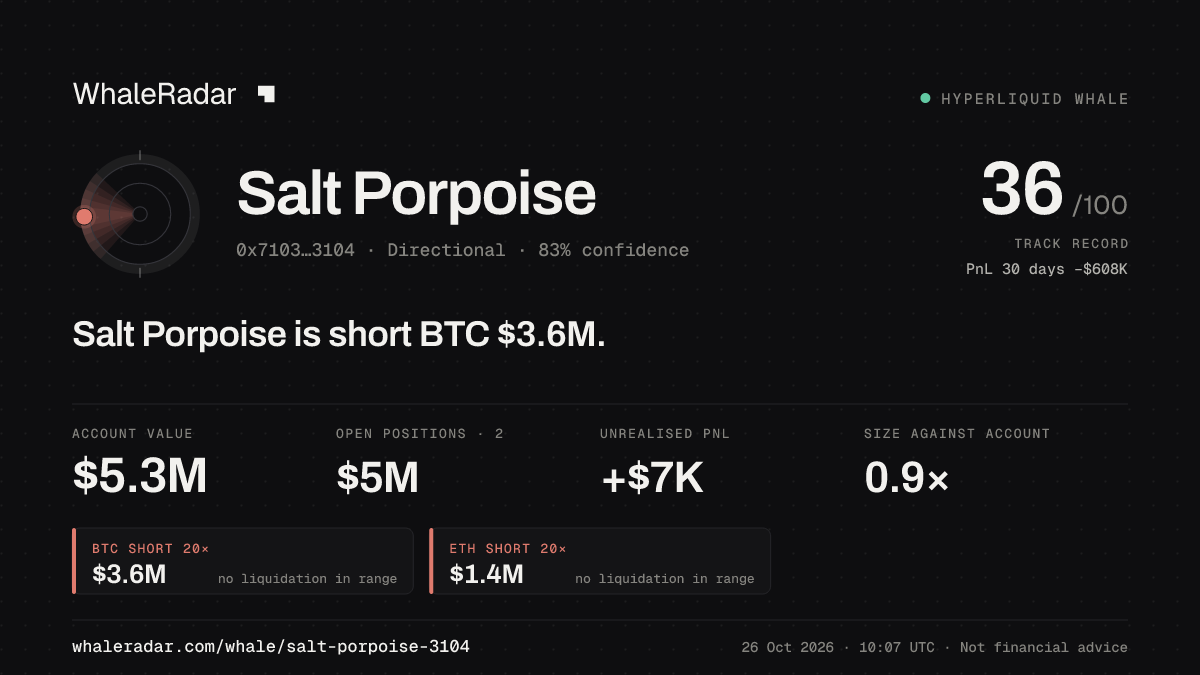「Salt Porpoise」分享卡片:Salt Porpoise 持有 BTC 362 万美元 空单。