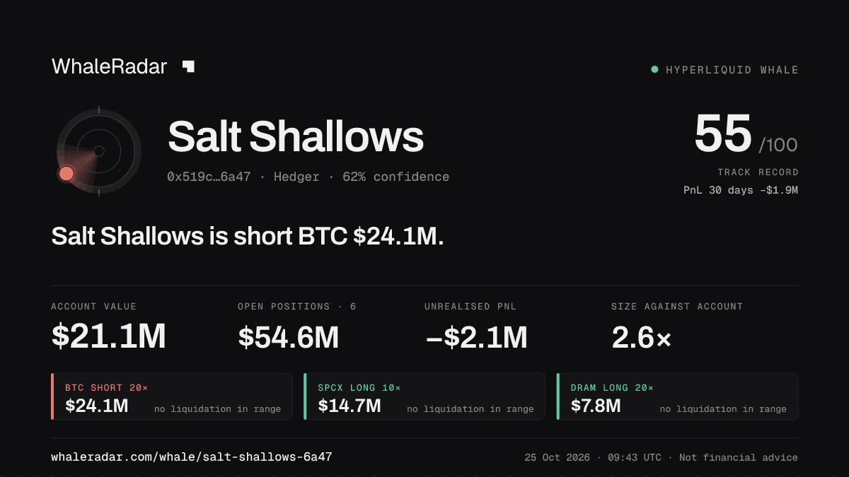 Share card for Salt Shallows: Salt Shallows is short BTC $24.1M.