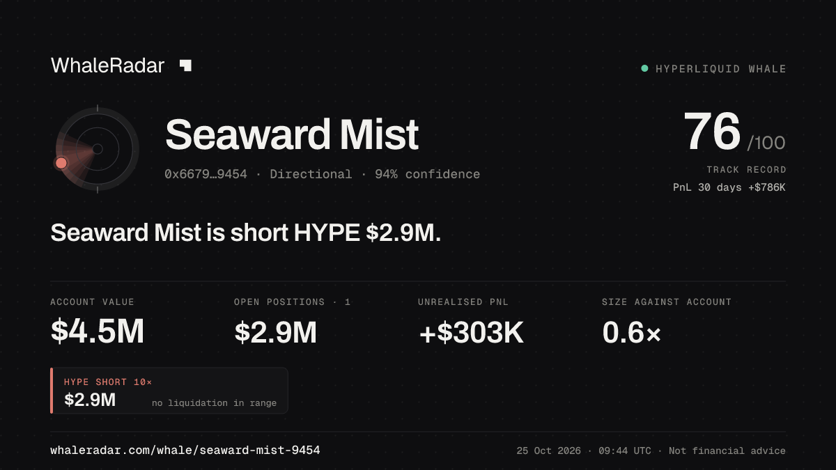 「Seaward Mist」分享卡片:Seaward Mist 持有 HYPE 288 万美元 空单。