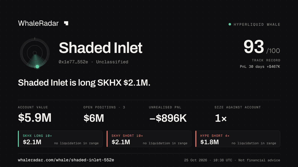 「Shaded Inlet」分享卡片:Shaded Inlet 持有 SKHX 209 万美元 多单。