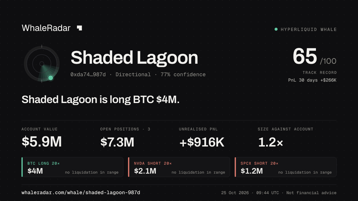 「Shaded Lagoon」分享卡片:Shaded Lagoon 持有 BTC 402 万美元 多单。