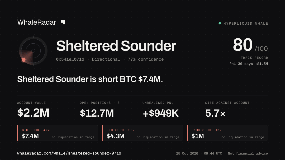 「Sheltered Sounder」分享卡片:Sheltered Sounder 持有 BTC 740 万美元 空单。