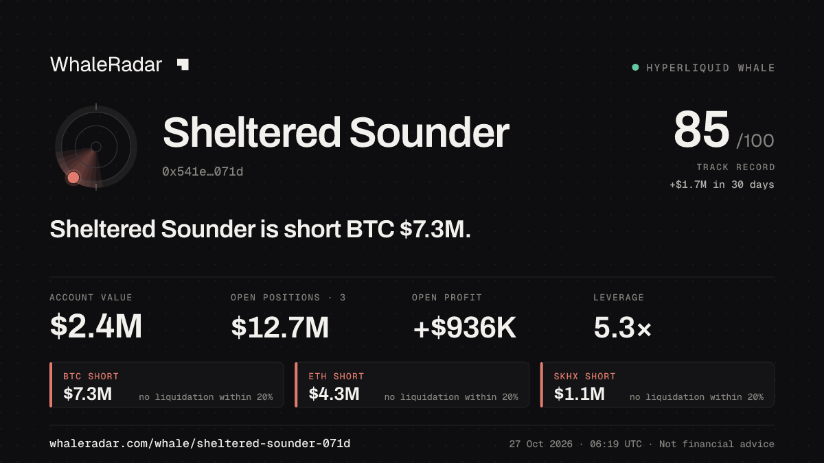 Sheltered Sounder 공유 카드: Sheltered Sounder: BTC 숏 734만 달러.