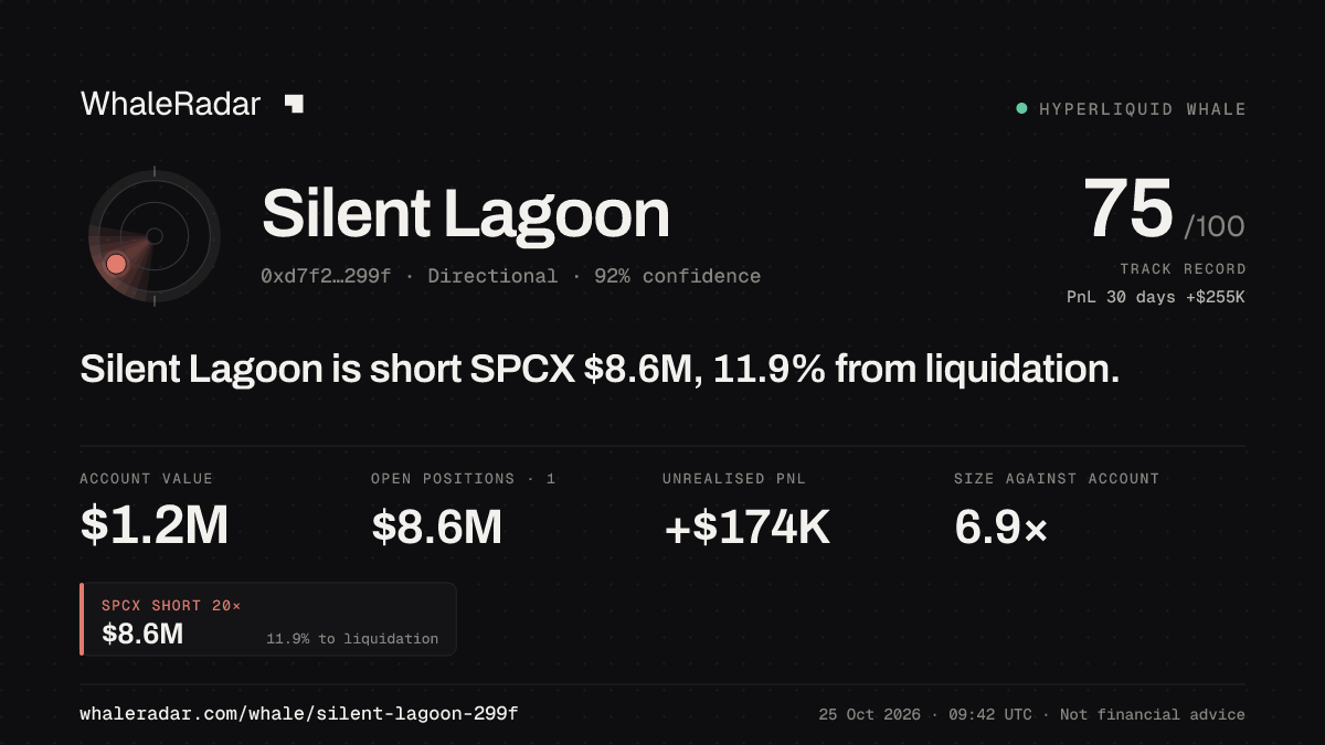 Share card for Silent Lagoon: Silent Lagoon is short SPCX $8.6M, 11.7% from liquidation.