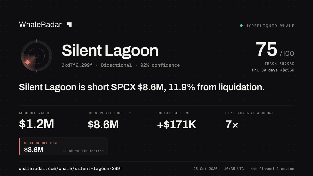「Silent Lagoon」分享卡片:Silent Lagoon 持有 SPCX 860 万美元 空单,距爆仓 11.9%。