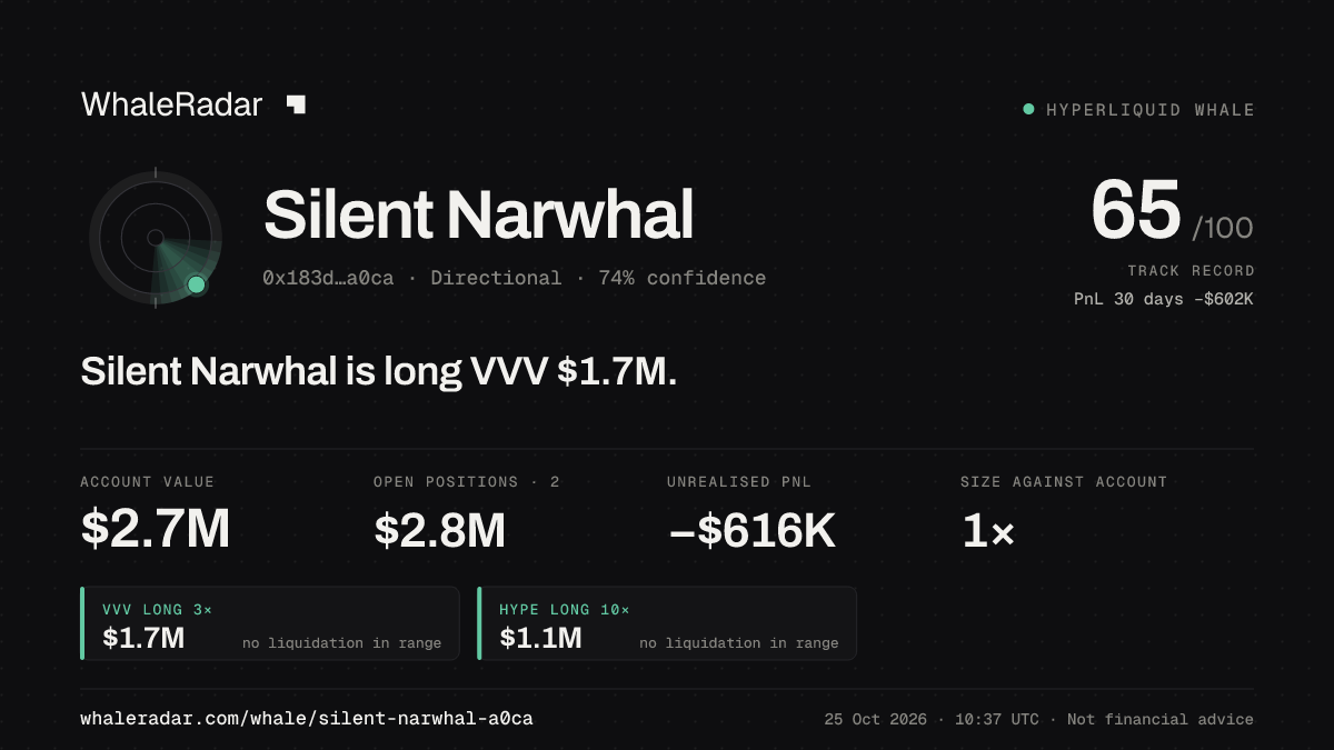 「Silent Narwhal」分享卡片:Silent Narwhal 持有 VVV 165 万美元 多单。