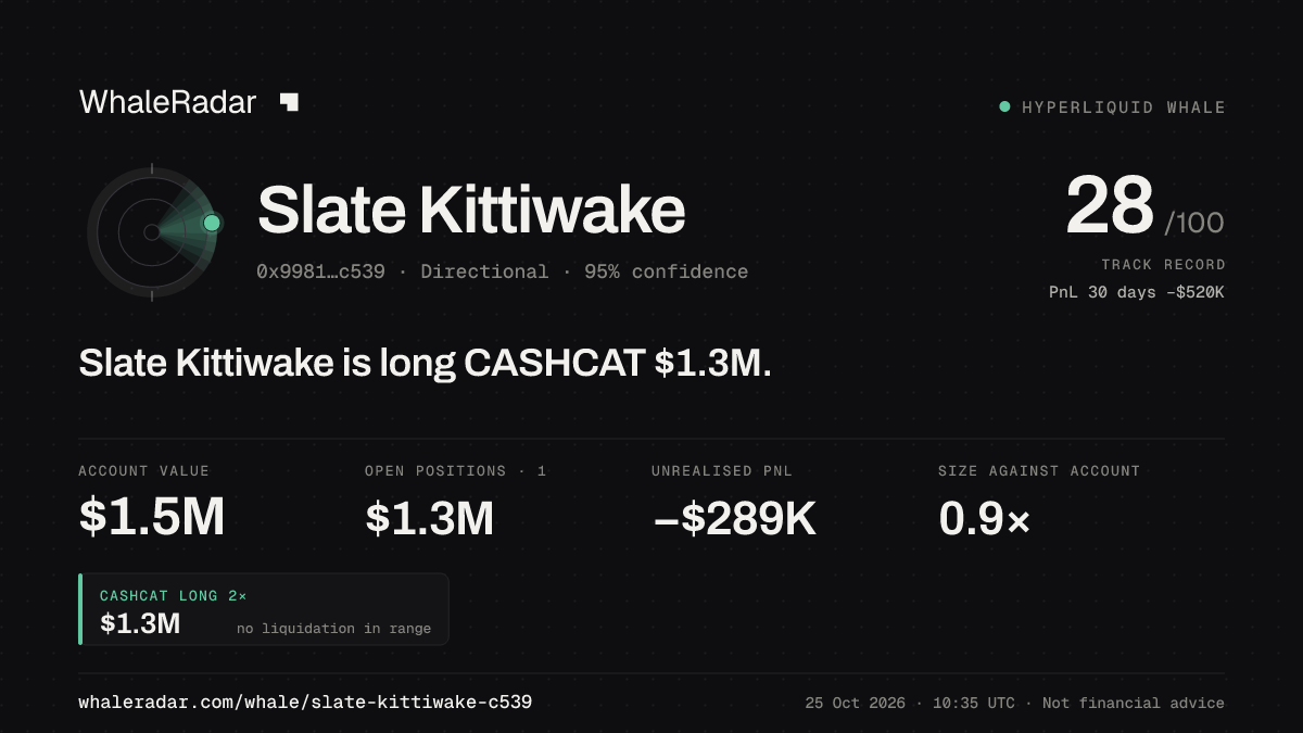 「Slate Kittiwake」分享卡片:Slate Kittiwake 持有 CASHCAT 127 万美元 多单。