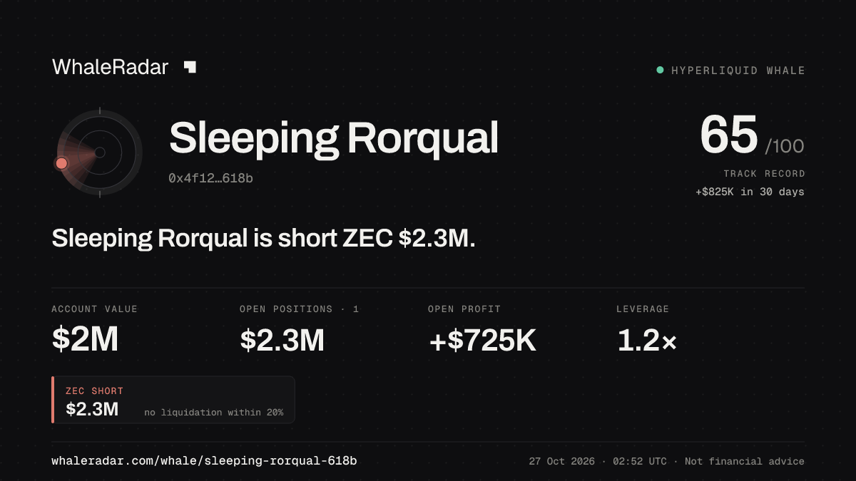 Share card for Sleeping Rorqual: Sleeping Rorqual is short ZEC $2.3M.
