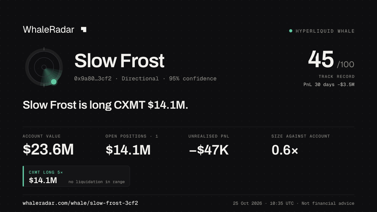 「Slow Frost」分享卡片:Slow Frost 持有 CXMT 1,406 万美元 多单。