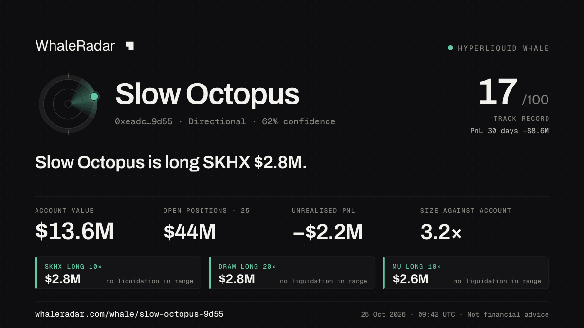 Share card for Slow Octopus: Slow Octopus is long SKHX $2.9M.