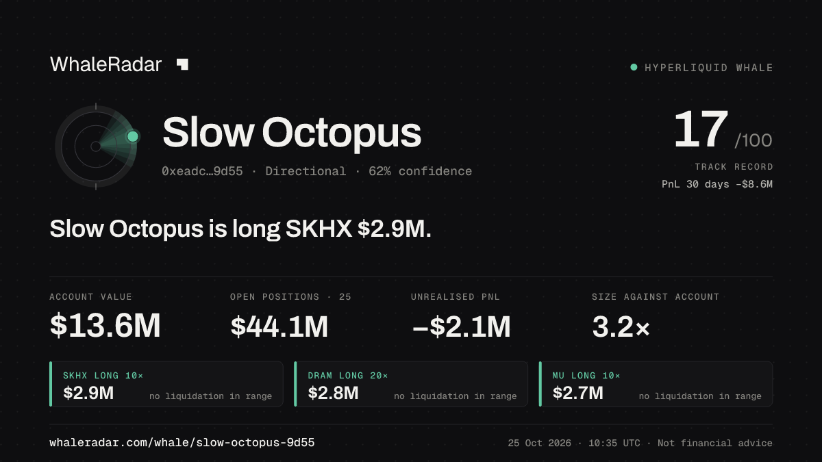 「Slow Octopus」分享卡片:Slow Octopus 持有 SKHX 285 万美元 多单。