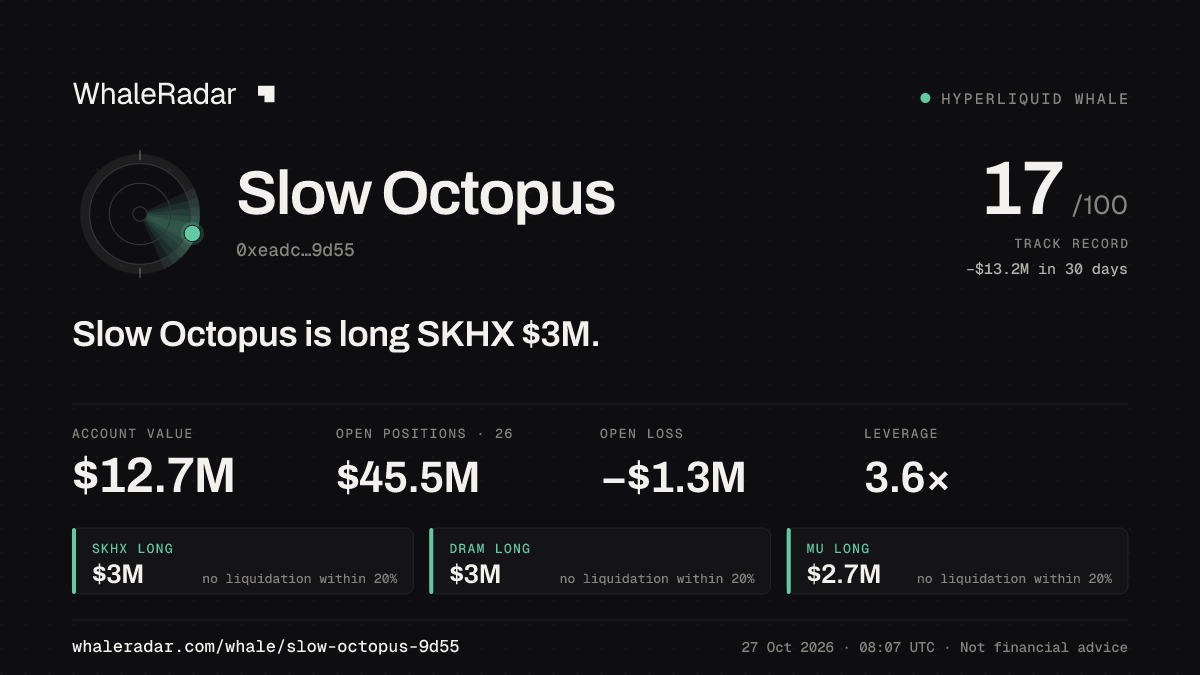 Slow Octopus 공유 카드: Slow Octopus: SKHX 롱 305만 달러.