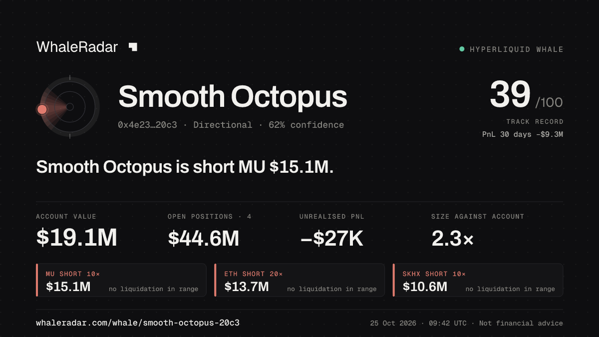 「Smooth Octopus」分享卡片:Smooth Octopus 持有 MU 1,512 万美元 空单。