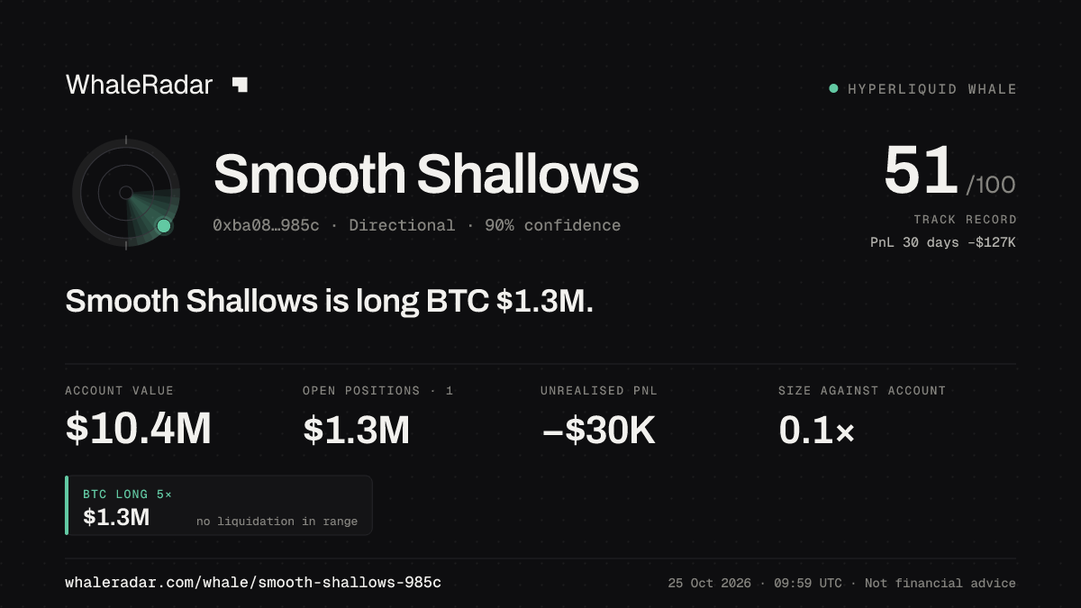 Share card for Smooth Shallows: Smooth Shallows is long BTC $1.3M.