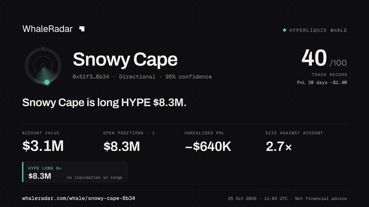 Share card for Snowy Cape: Snowy Cape is long HYPE $8.3M.