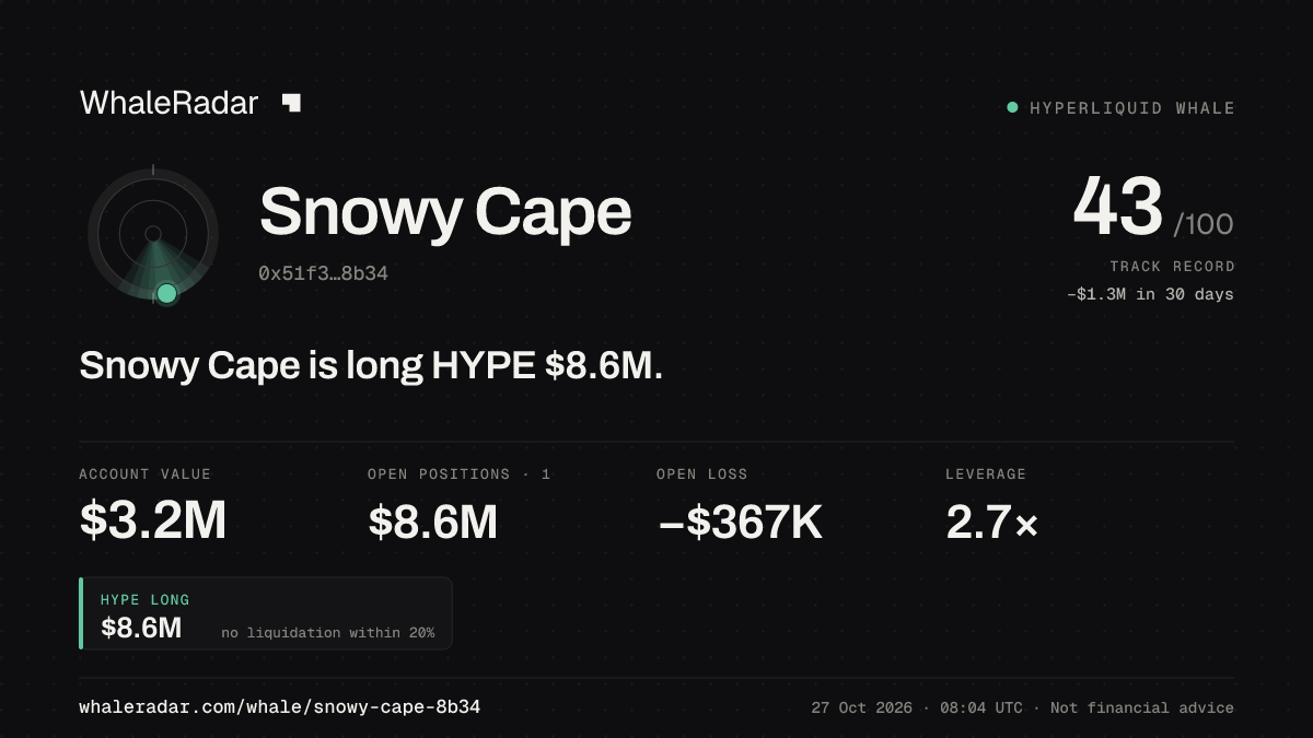 Snowy Cape 공유 카드: Snowy Cape: HYPE 롱 851만 달러.