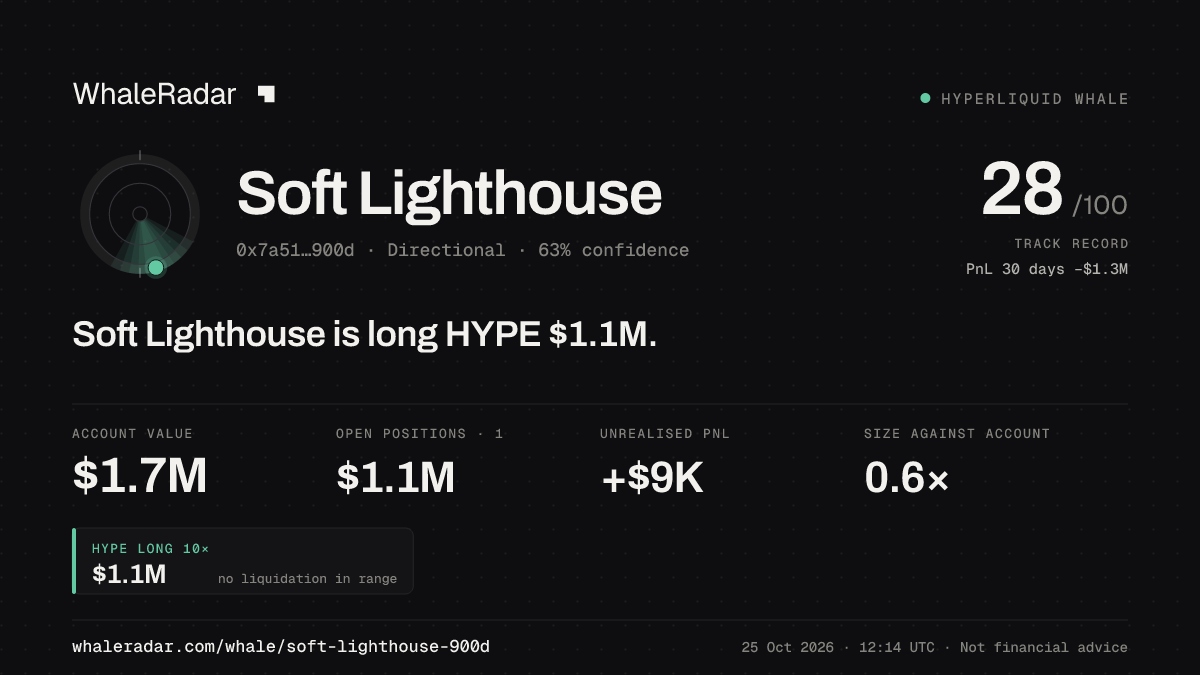 Share card for Soft Lighthouse: Soft Lighthouse is long HYPE $1M.