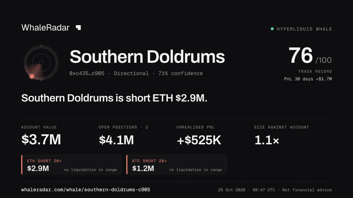 Share card for Southern Doldrums: Southern Doldrums is short ETH $2.9M.